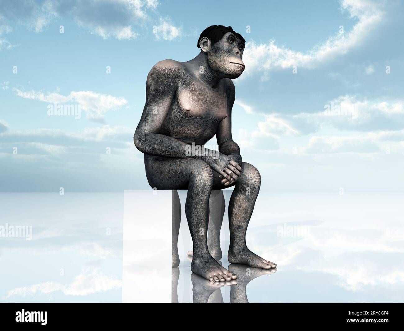 Homo Habilis - Menschliche Evolution Stockfoto