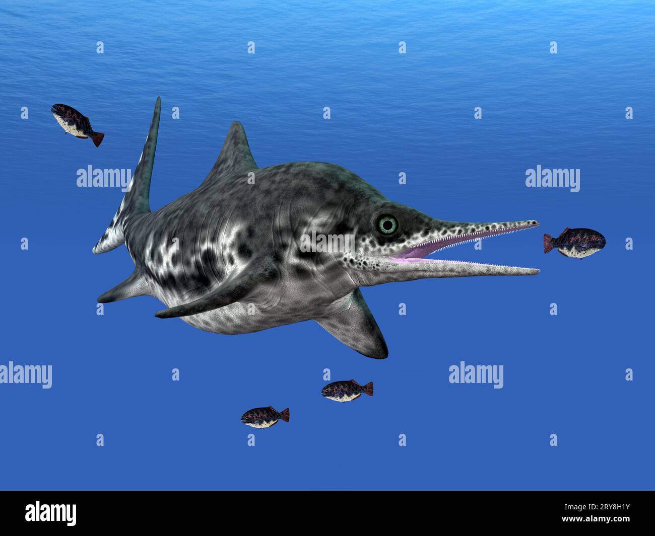 Ichthyosaur Stenopterygius Stockfoto