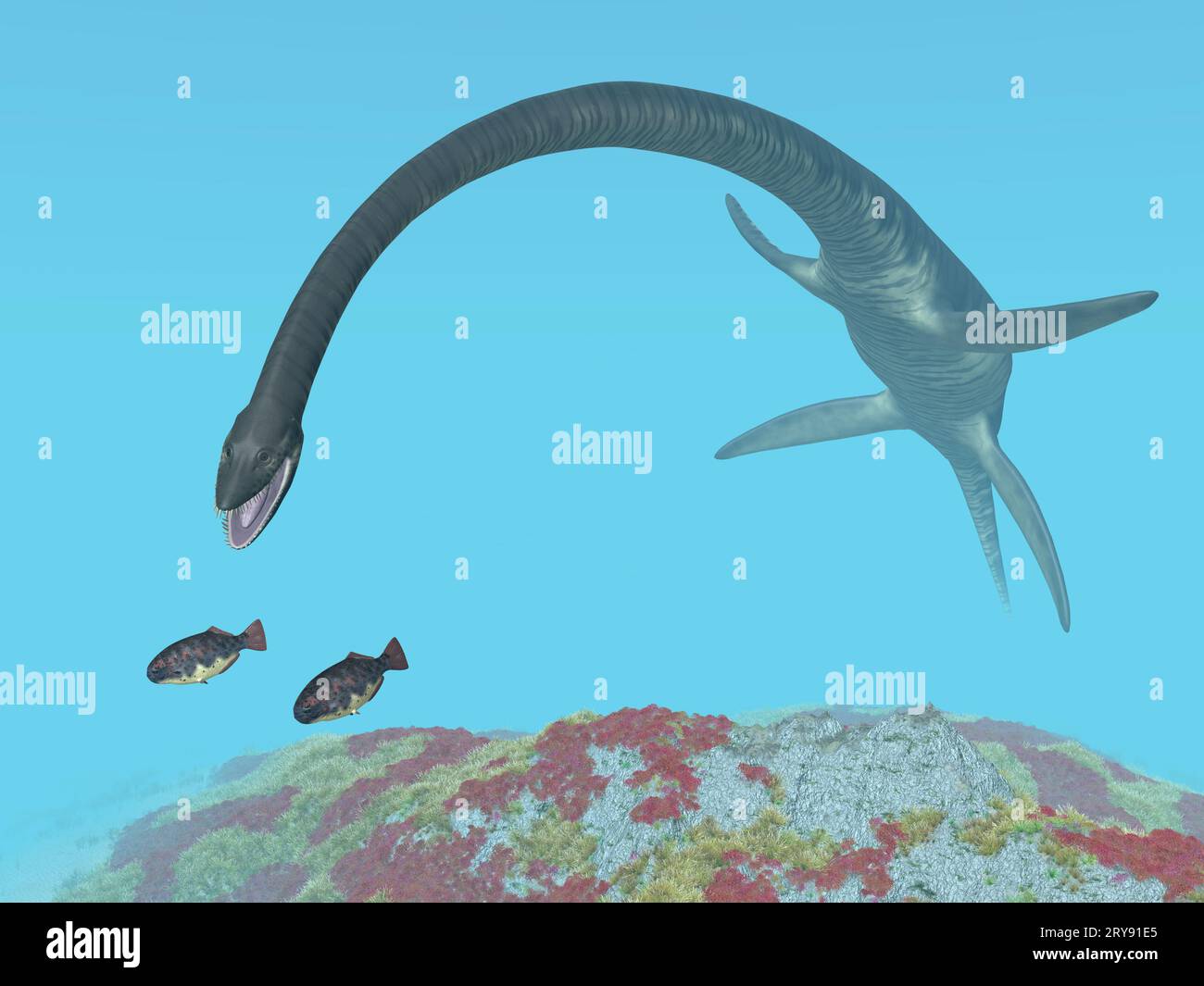 Plesiosaurier Elasmosaurus Stockfoto