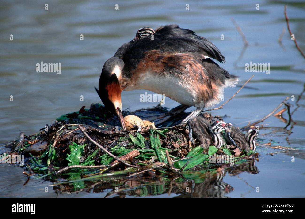 Wendeei, Nordrhein-Westfalen, Deutschland Stockfoto