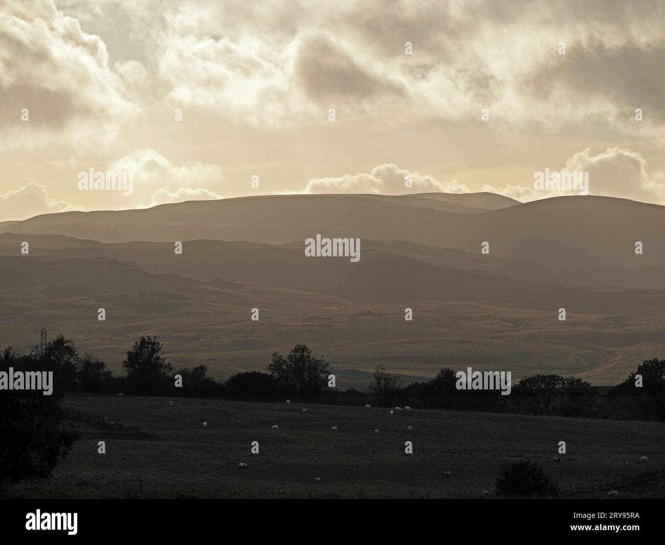 Lake District Hügel in stimmungsvollem Licht mit weidenden Schafen im fernen Vordergrund und High Street unter hinterleuchteten Wolken - Cumbria, England, Großbritannien Stockfoto