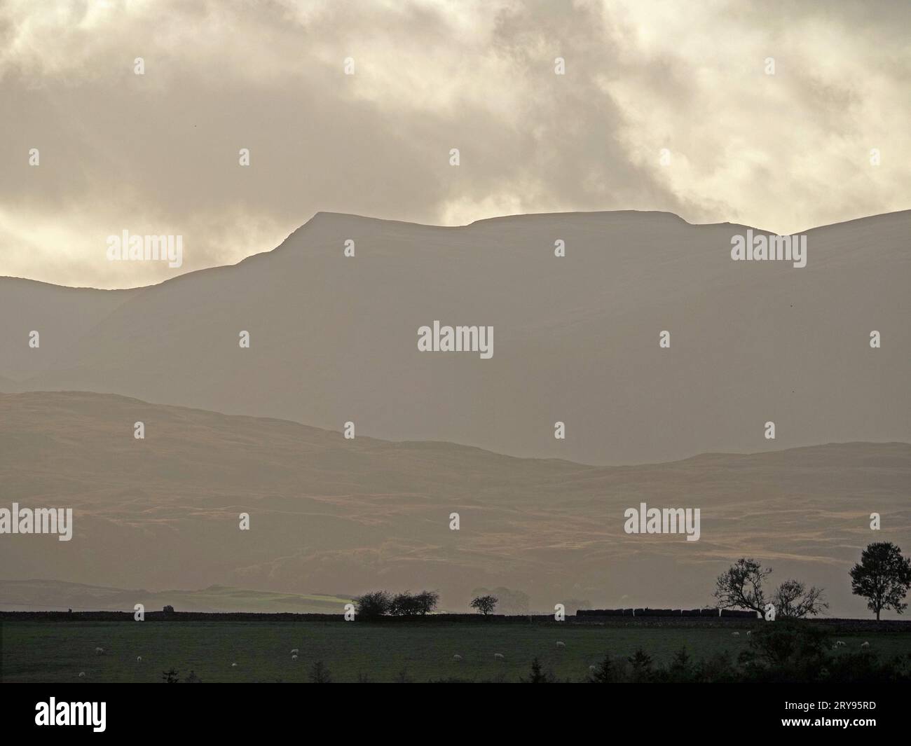 Lake District Hügel in stimmungsvollem Licht mit weidenden Schafen im fernen Vordergrund und Kidsty Pike unter hinterleuchteten Wolken - Cumbria, England, Großbritannien Stockfoto