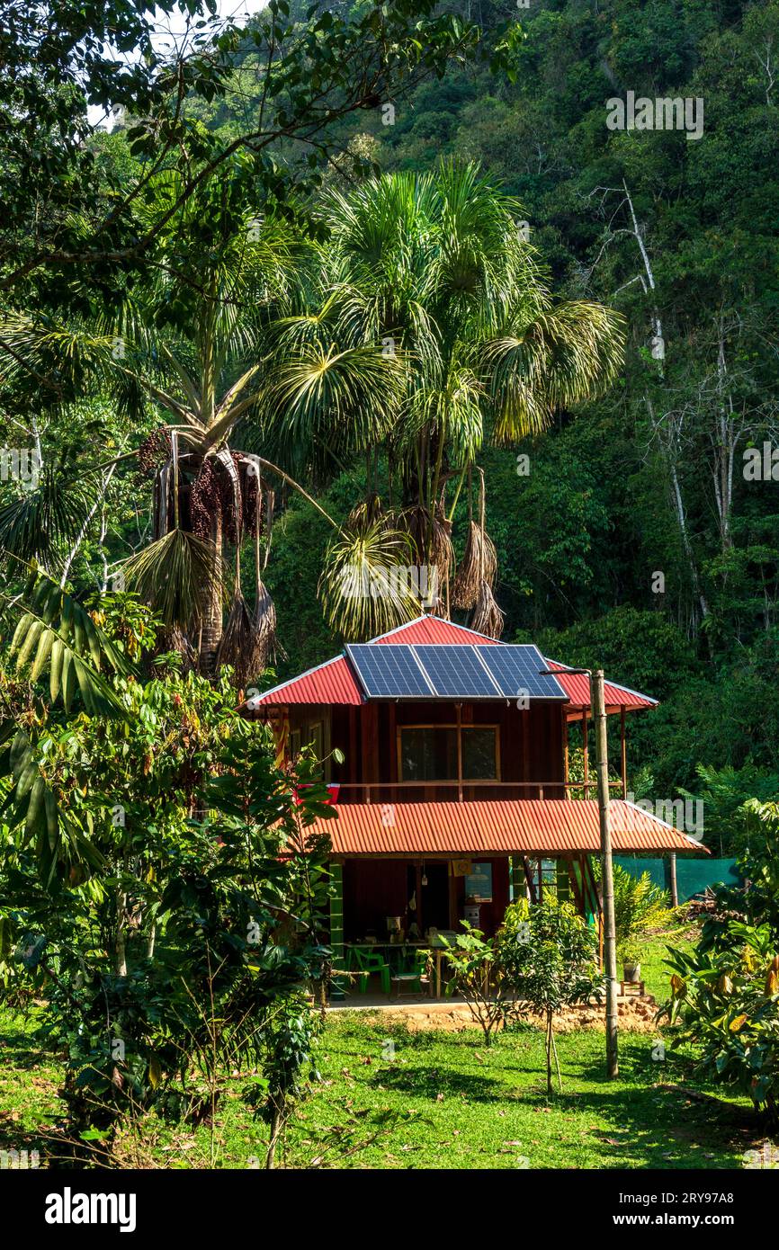 Öko-Lodge im amazonas-Regenwald, peruanischer Dschungel Stockfoto