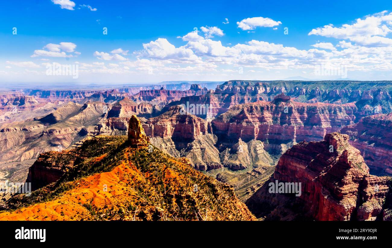 Point Imperial am Nordrand des Grand Canyon auf einer Höhe von 8803 Metern Stockfoto