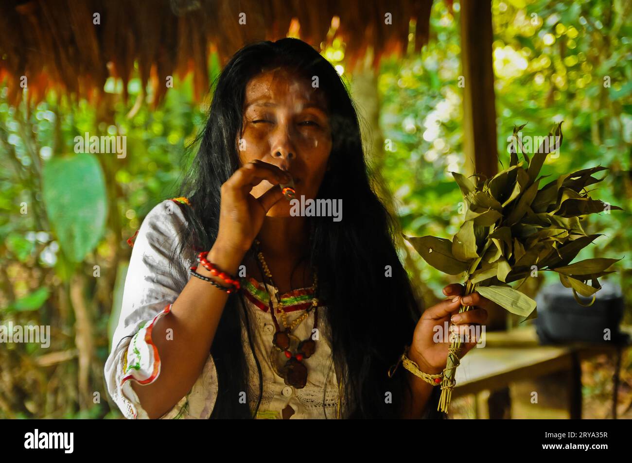 Amazon Rainforest Shaman & Heilung Zeremonie, Peru Stockfoto