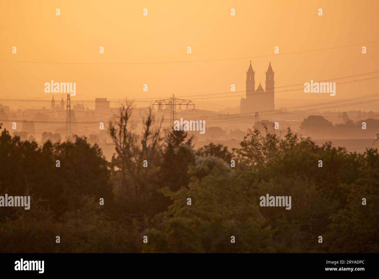 Der Magdeburger Dom erhebt sich am Horizont im Licht der aufgehenden Sonne, Magdeburg Stockfoto