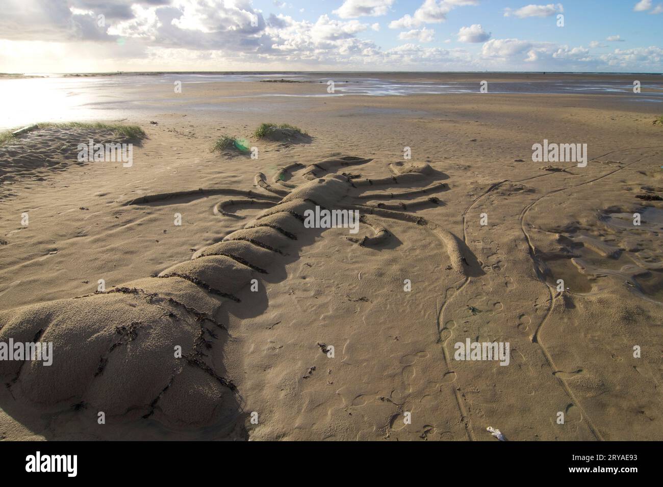 Figur im Sand: Zum Zeitvertreib hat jemand einen riesigen Hummer aus Sand in den Strand geformt * Riesenhummer als Sandskulptur am Strand Stockfoto