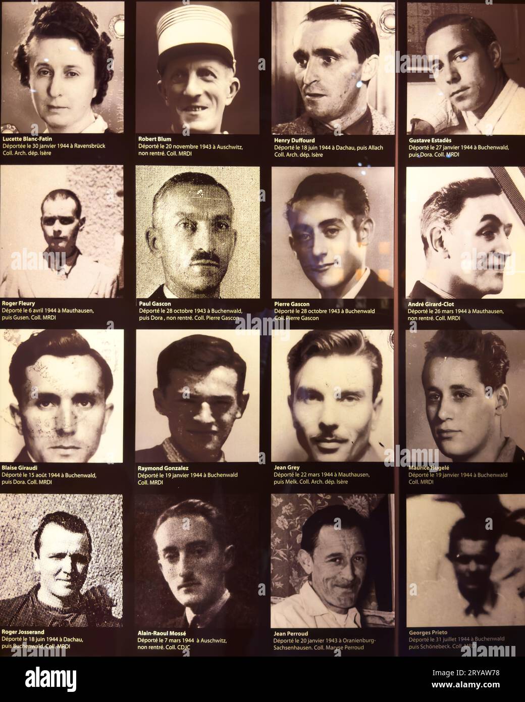 Fotos im Resistance and Deportation Museum in Grenoble, Frankreich, von französischen Widerstandskämpfern, die von den Nazis zur Arbeit und Konzipation deportiert wurden Stockfoto