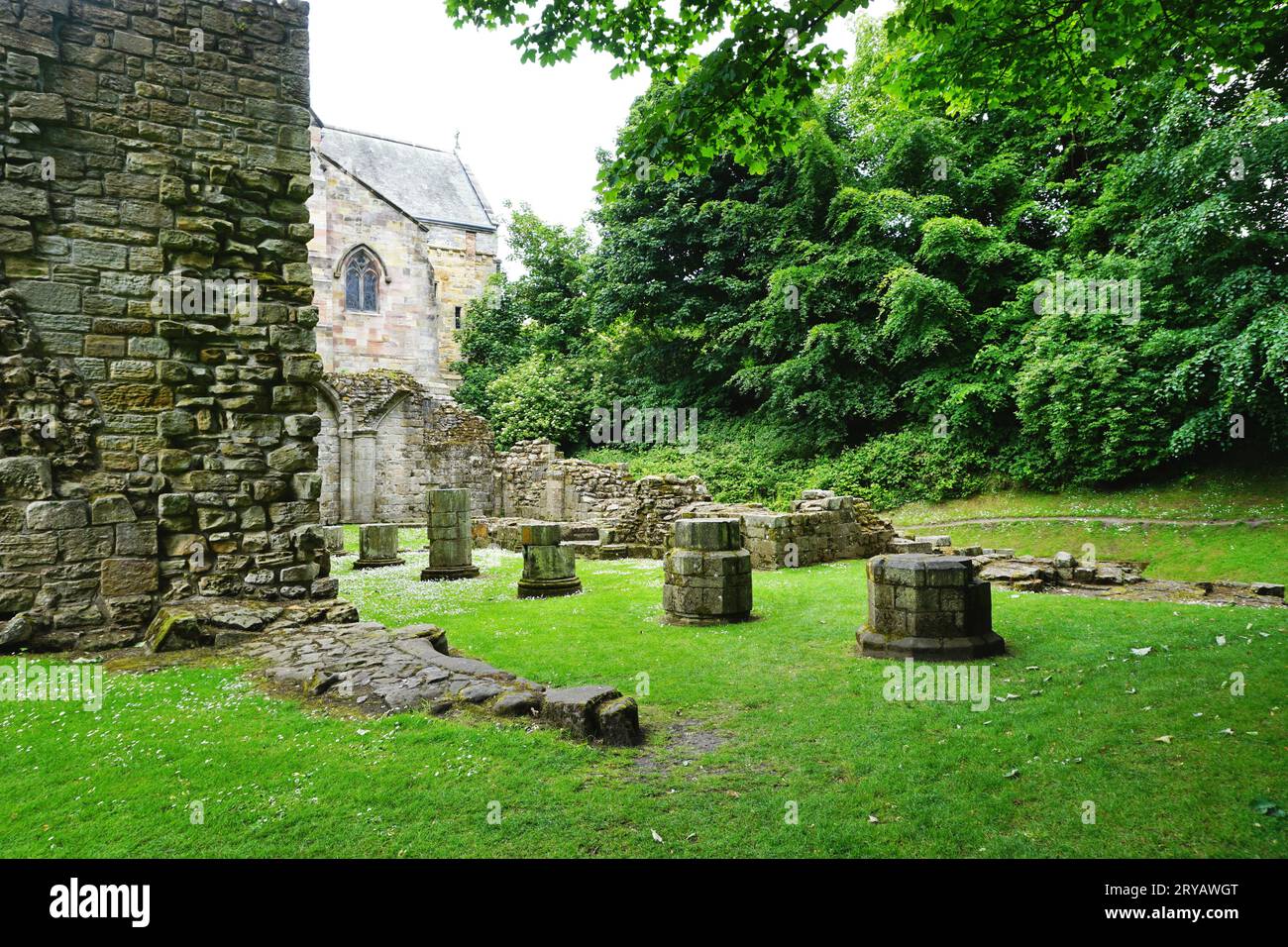 Steinruinen des mittelalterlichen Kirchenschiffs der Culross Abbey stehen auf einer grasbewachsenen Lichtungsanlage und der intakte Teil der historischen Kirche ist um die Ecke sichtbar Stockfoto