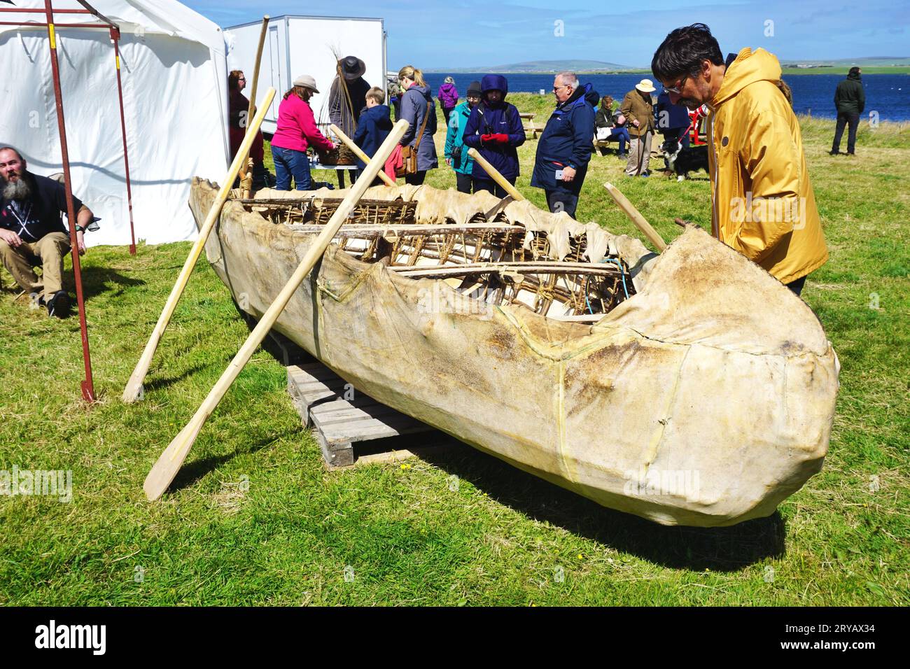 Ein Besucher besichtigt eine Nachbildung eines mit Haut bedeckten neolithischen Holzrahmenbootes an der Ausgrabungsstätte Ness of Brodgar auf Orkney Island, Schottland Stockfoto