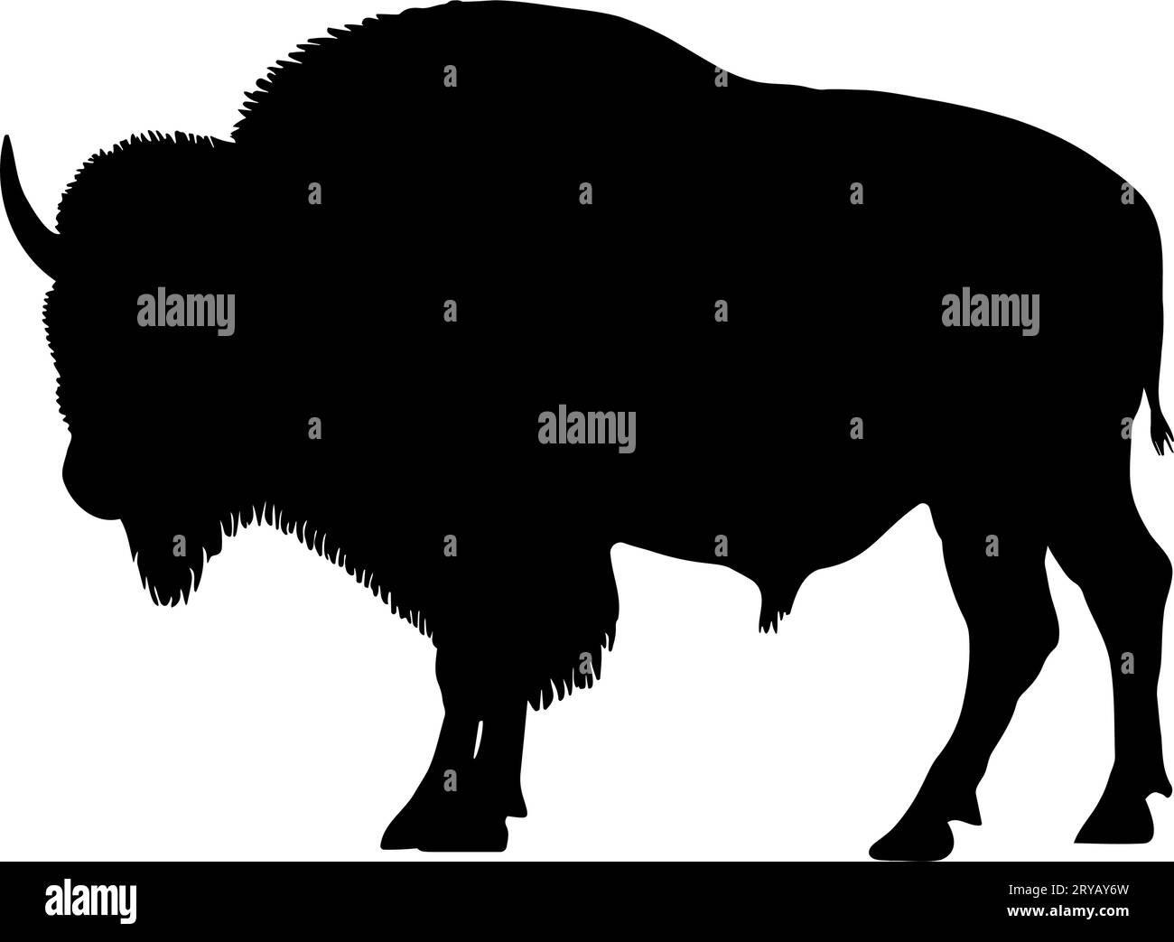 Bison-Büffel-Silhouette. Vektorillustration Stock Vektor