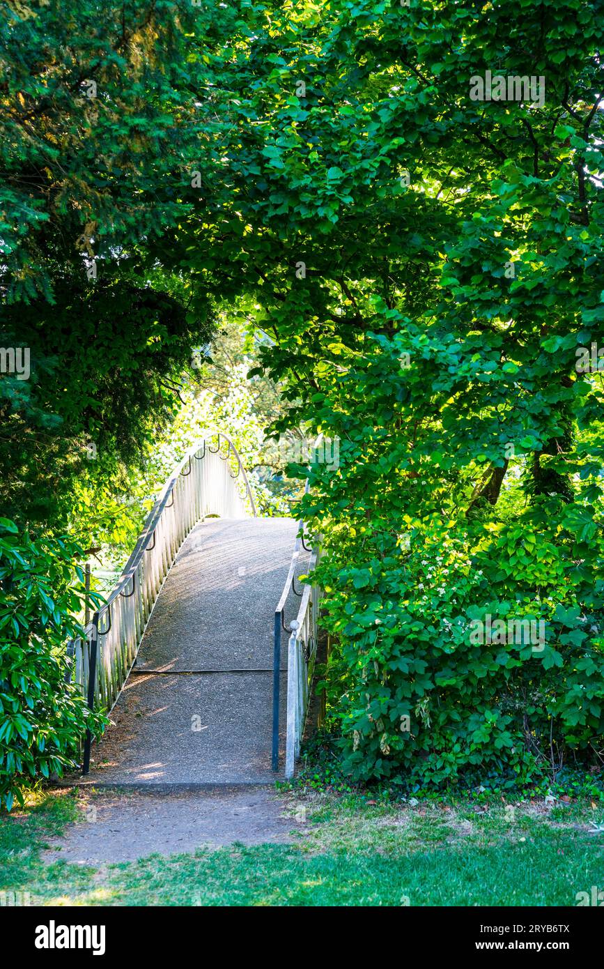 Schöne Brücke im grünen Dickicht Dschungel wie Äste Bäume Natur Garten Landschaft sonniger Tag Stockfoto