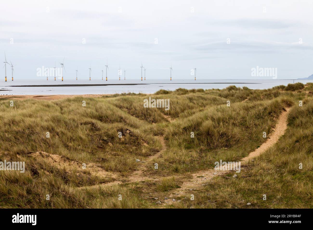 Die Küste von South Gare mit Offshore- Windenergieanlagen in Redcar, England, Großbritannien Stockfoto