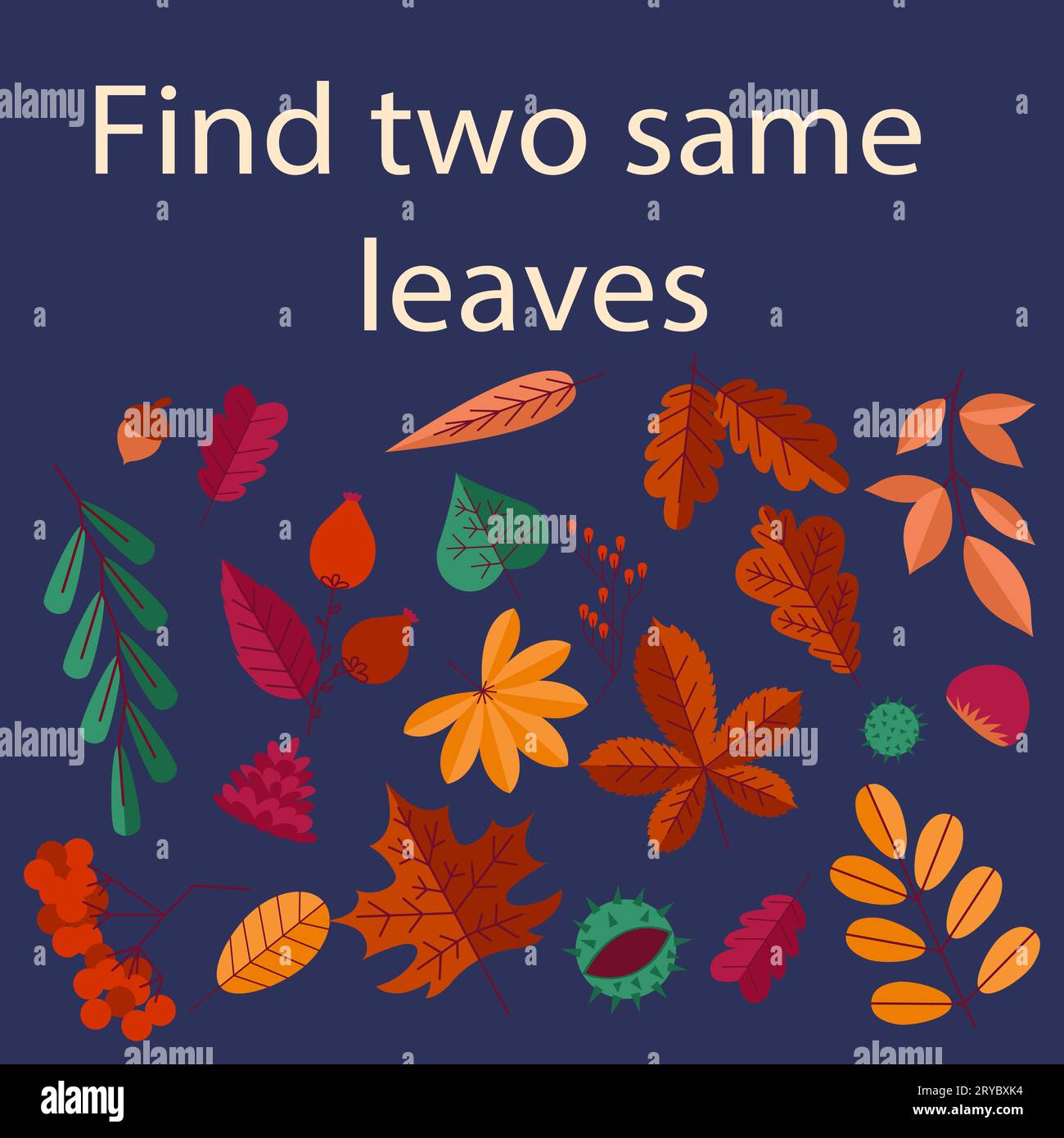 Herbstposter. Arbeitsblatt für Kinder. Gleiche Blätter werden gefunden. Logikspiel. Vorschulrätsel. Rowan und Ahorn. Herbstliches Waldlaub. Ähnliche Pflanzen. Quiz zur Erziehung von Kindern. Vektor Fall Natur Banner Design Stock Vektor