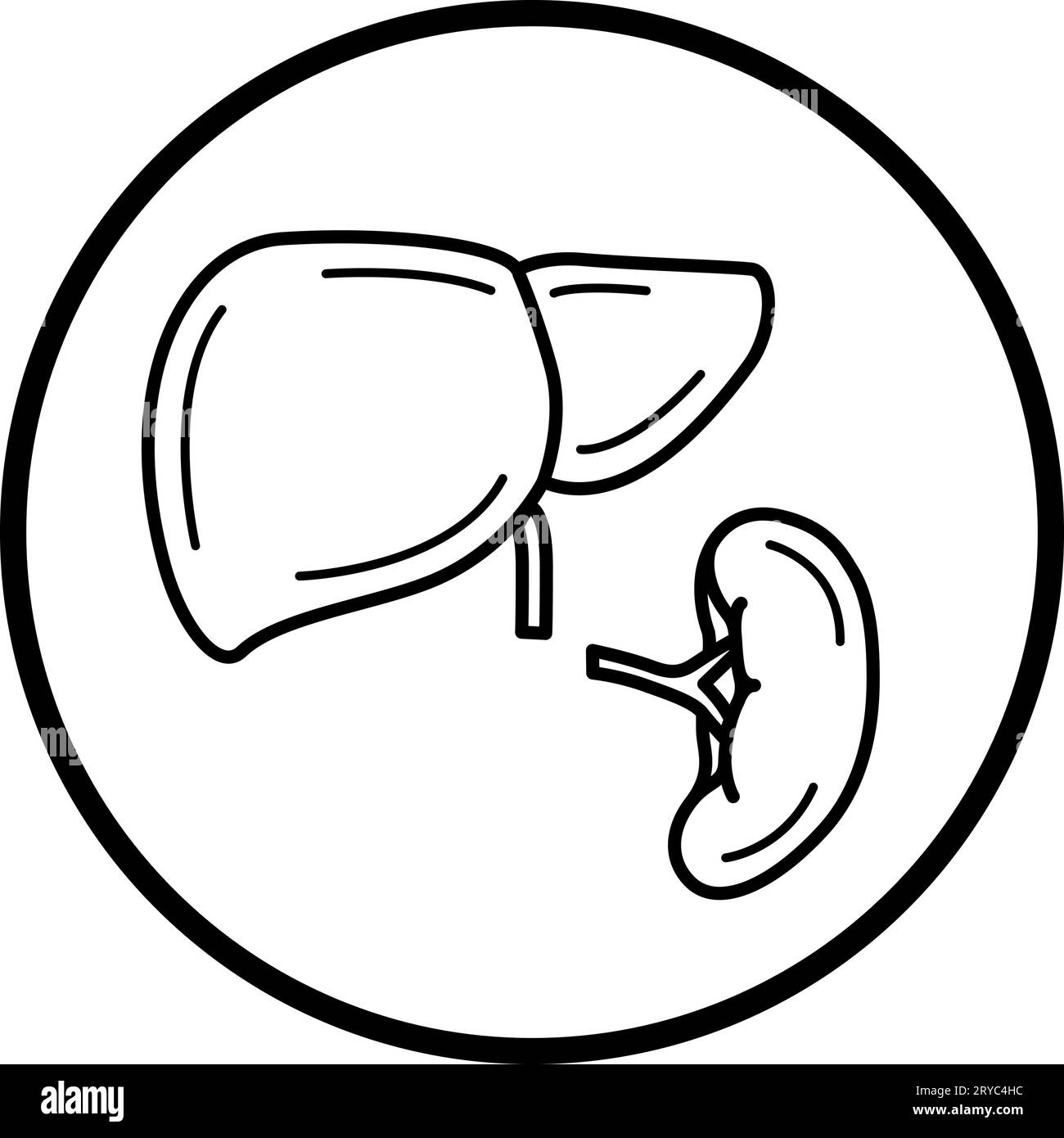 Vergrößerte Leber und Milz, isoliertes Symbol Stock Vektor