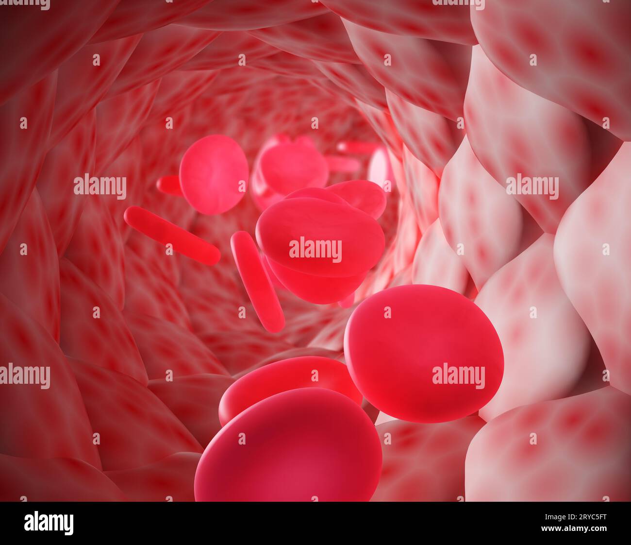 Blutkörperchen Stockfoto
