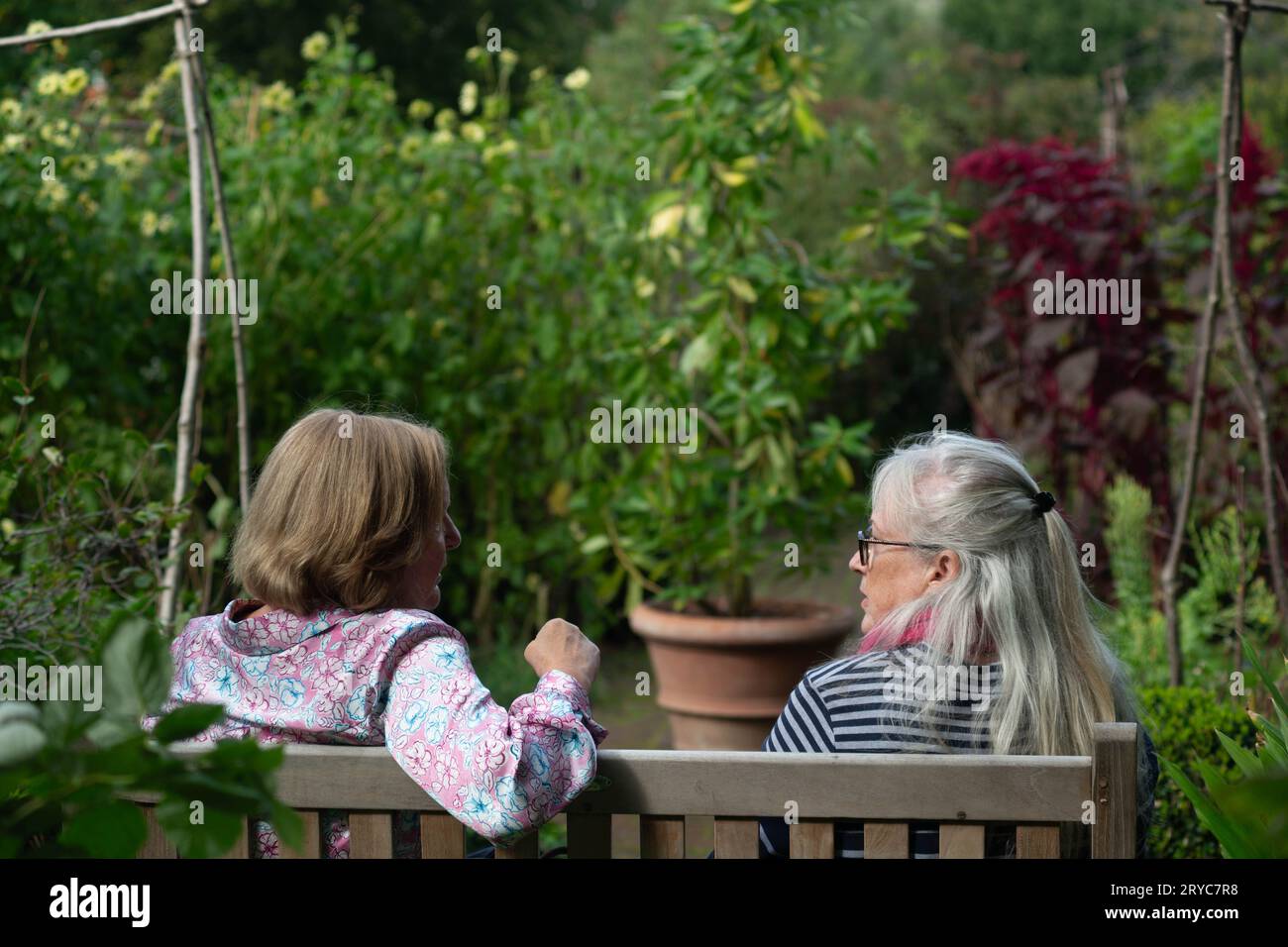 London, Großbritannien. September 2023 30. Tag der offenen Tür im Chelsea Physic Garden. Zweitältester Physikgarten in Großbritannien mit 350 Jahren, der sich der Medizin, Pharmazeutika, Giften und Ökologie widmet. Der irische Arzt wurde 1673 von Sir Hans Sloane gegründet und heiratete in Jamaika eine Sklavenfamilie. Mary Seacole und andere hier vertreten. Quelle: Peter Hogan/Alamy Live News Stockfoto