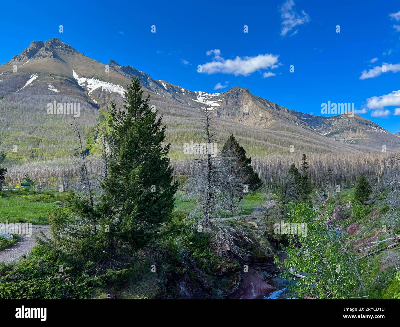 Red Rock Canyon im Waterton Lakes National Park in Alberta, Kanada, an einem wunderschönen sonnigen Tag. Stockfoto