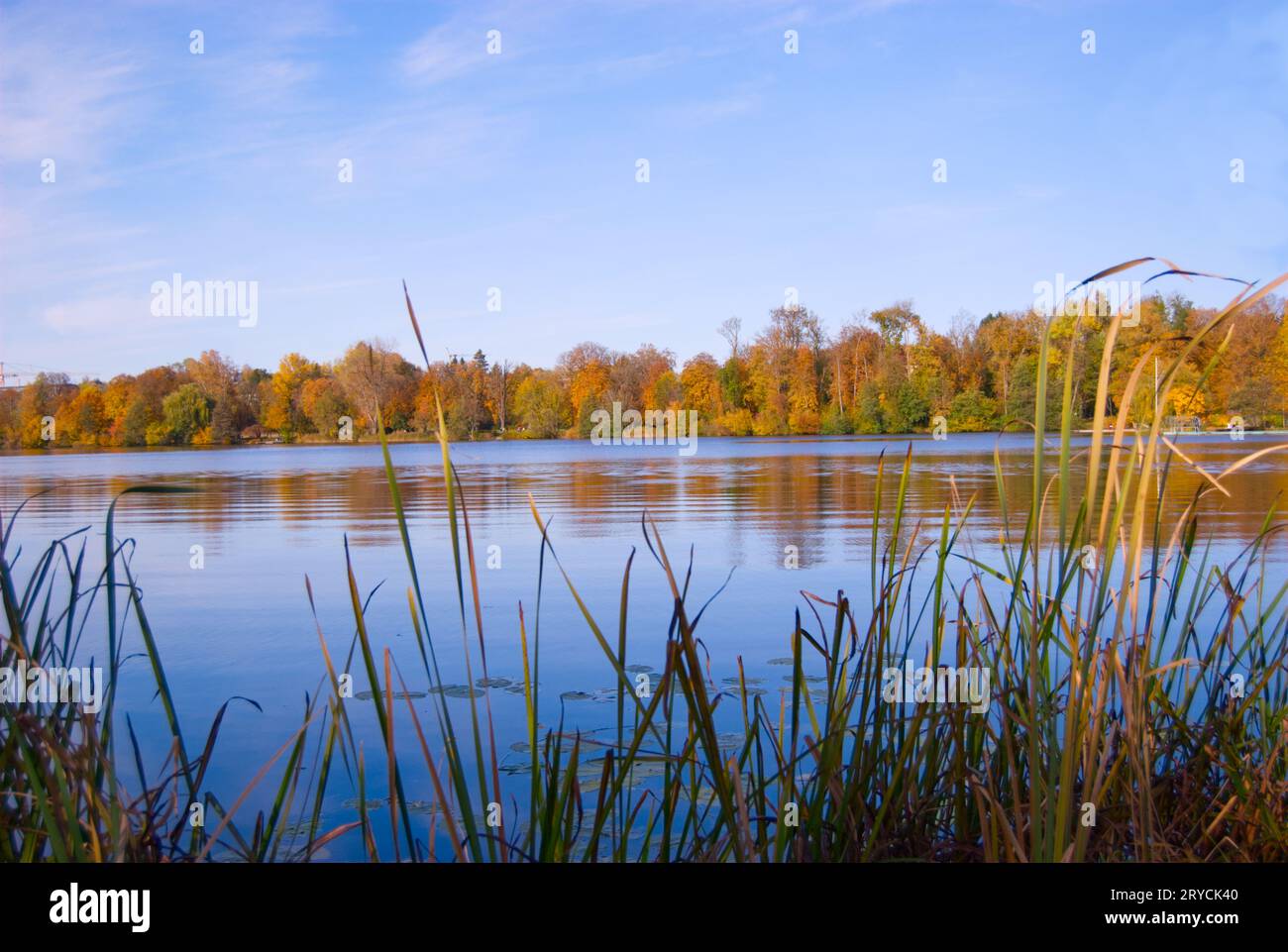 Herbstlicher Stadtsee Bad Waldsee Stockfoto