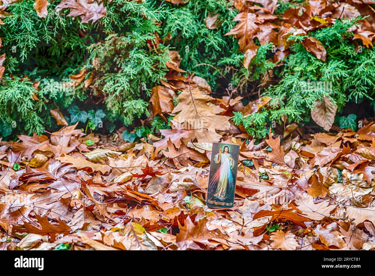 Das Symbol des barmherzigen Jesus unter den gefallenen Herbstblättern Stockfoto