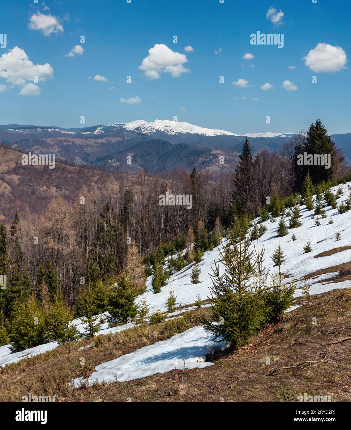 Der frühe Frühling Karpaten plateau Landschaft mit schneebedeckten Grat tops in weit, Ukraine. Stockfoto