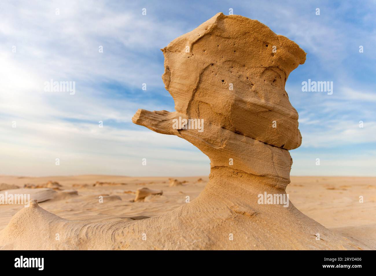Sandstein in der Wüste mit geringer Tiefe des Feldes Stockfoto