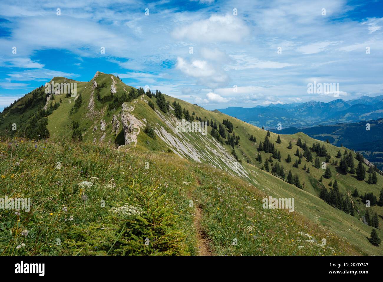 Wandern auf der Nagelfluhkette in den deutschen alpen Stockfoto