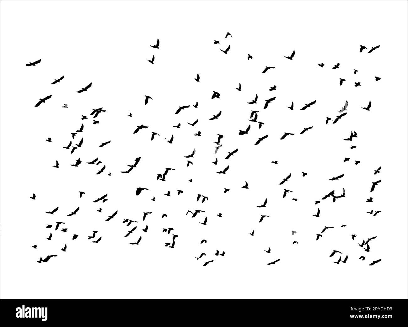 Vector Illustration Muster vieler schwarzer Vogel Silhouetten fliegen im Himmel Flügel ausbreiten, isolierte o weißer Hintergrund Stockfoto