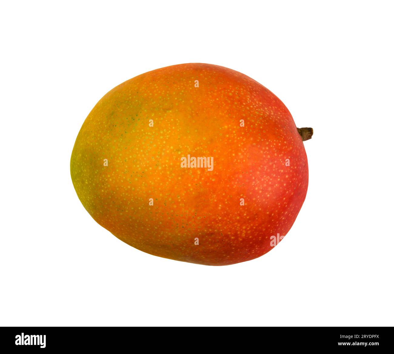 Nahaufnahme einer ganzen gelben Mango, isoliert auf weiß Stockfoto