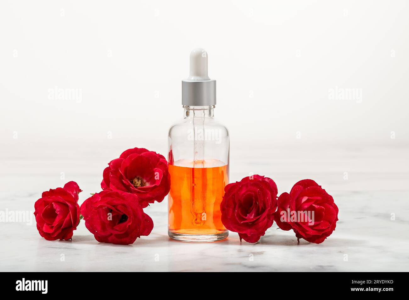 Parfümiertes Rosenwasser in Glasflasche und kleine rote Rosen mit Blütenblättern Stockfoto