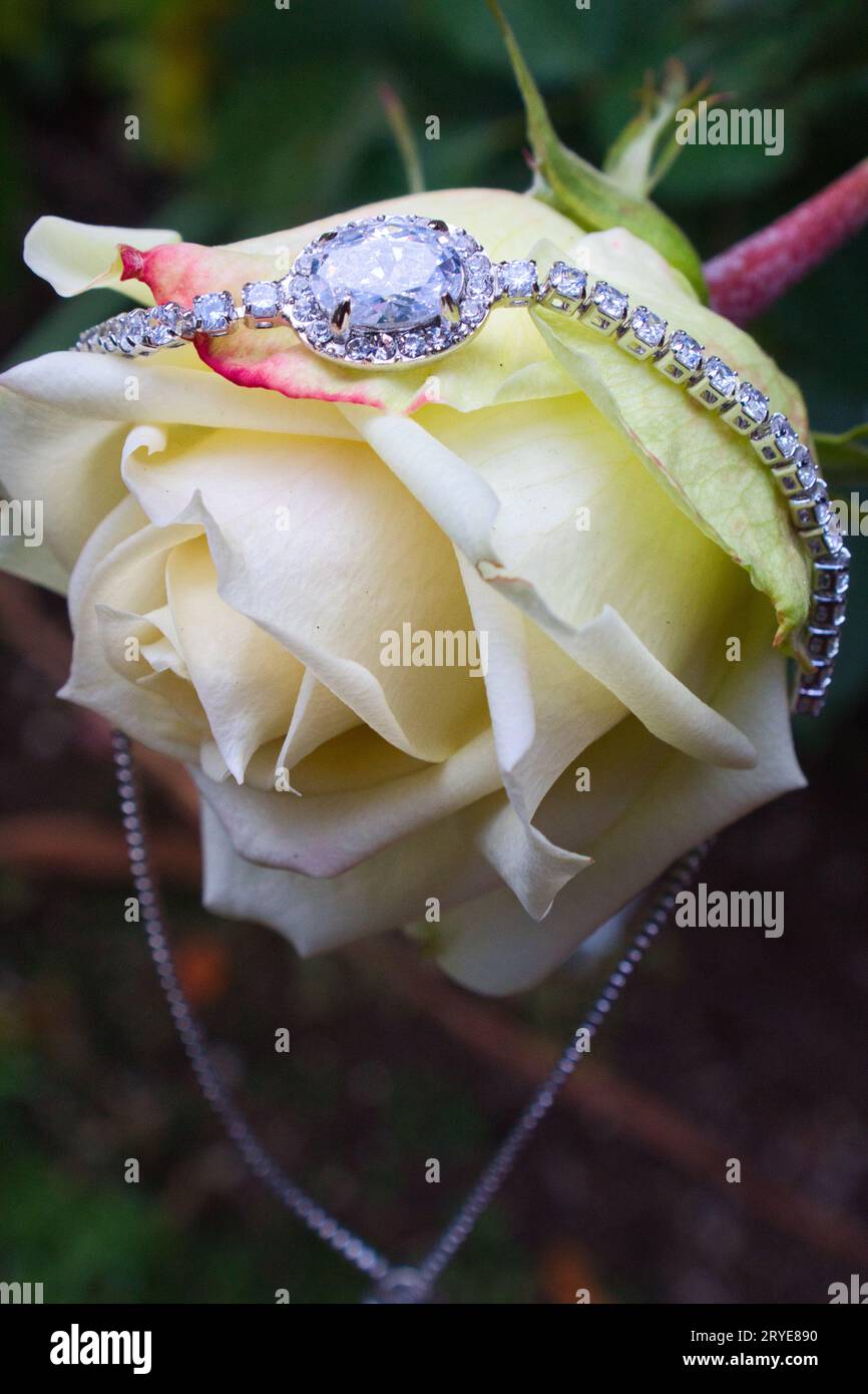 Armband aus edlem Schmuck und silbernem Kristall auf weißer Rose. Stockfoto