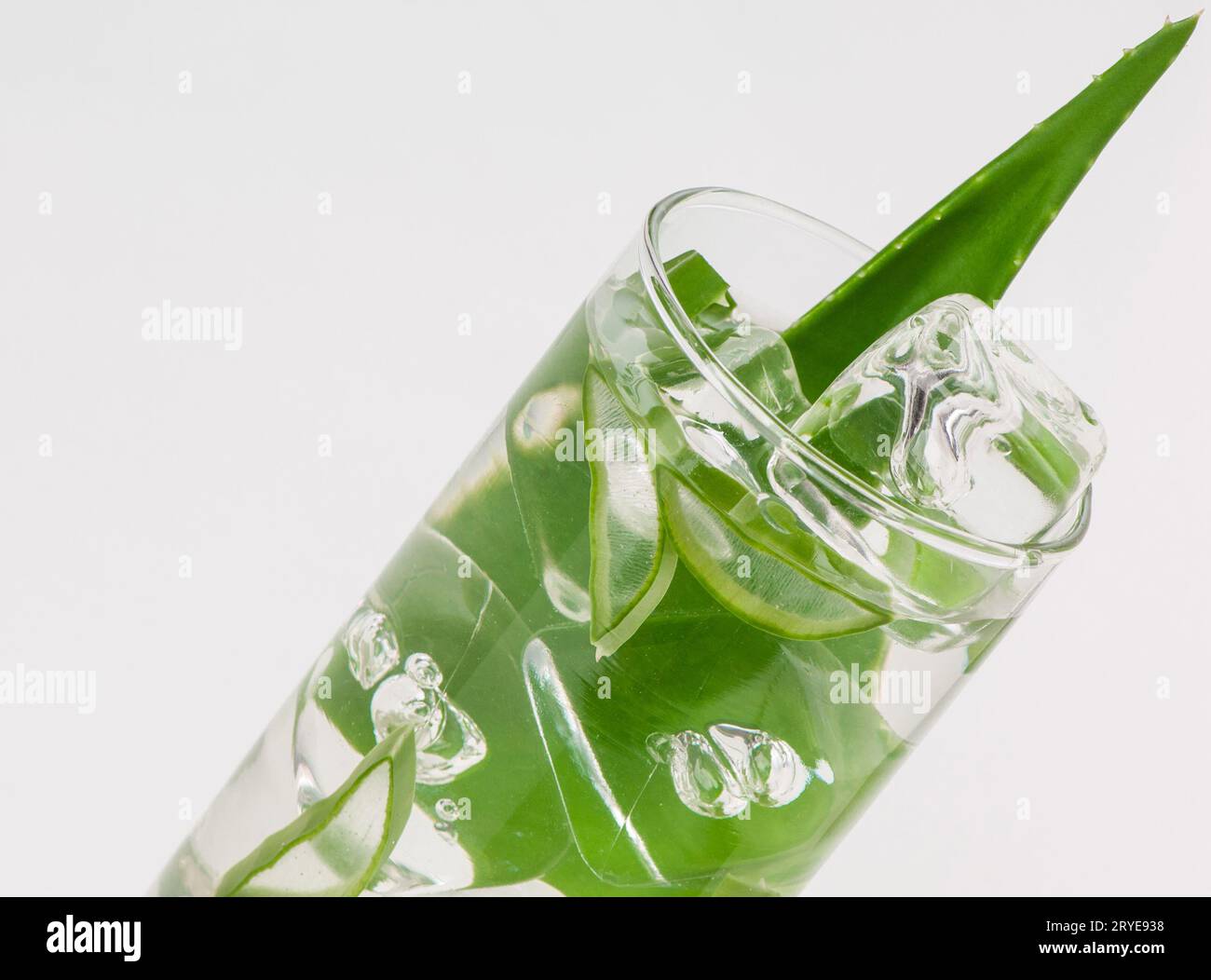 Kaktus wasser trinken -Fotos und -Bildmaterial in hoher Auflsung  Alamy