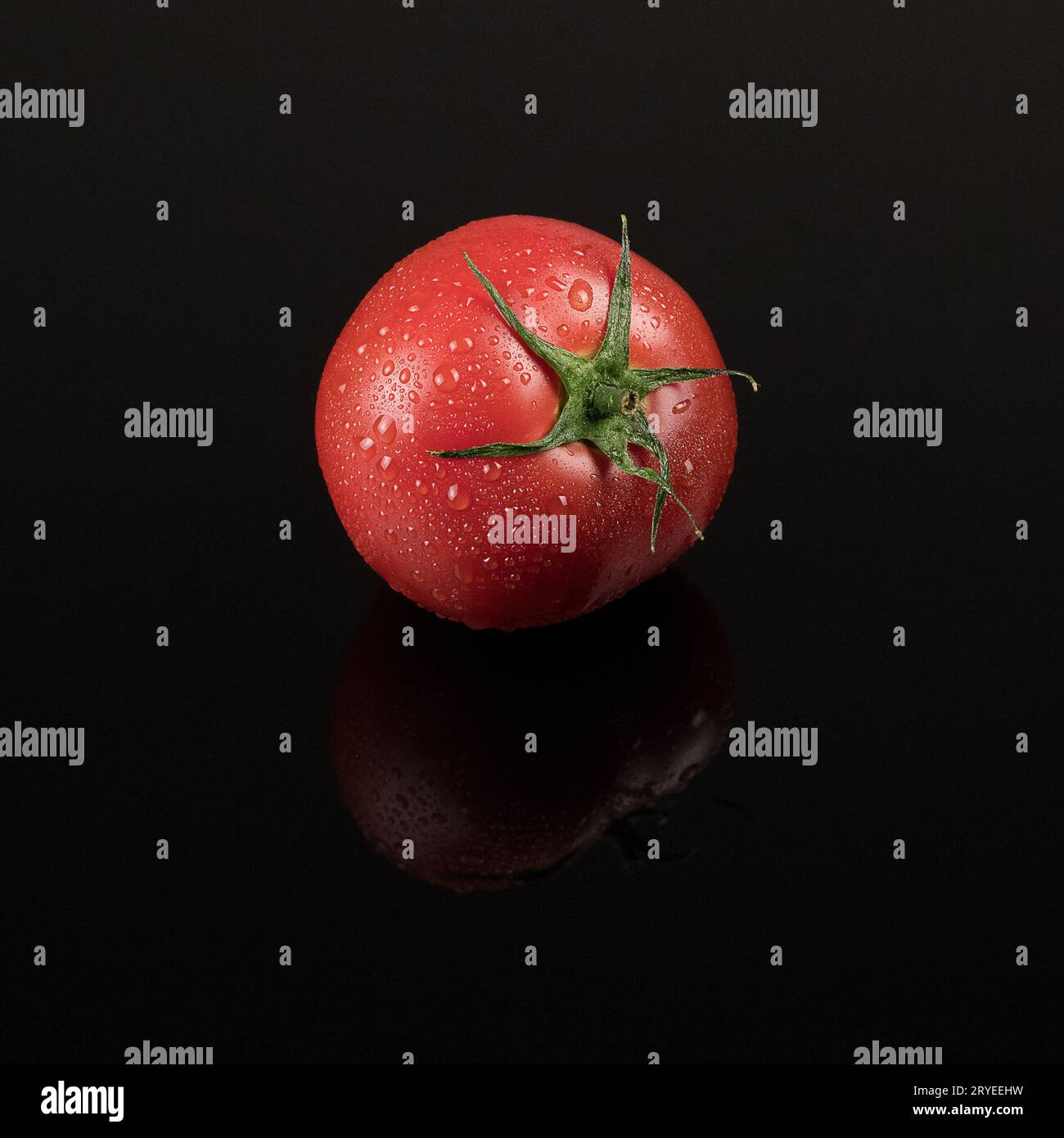Tomaten auf einem schwarzen Hintergrund Stockfoto