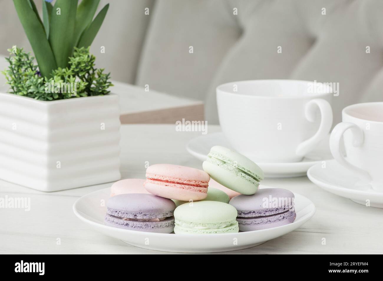 Kuchen auf einem Teller und eine Tasse auf dem Tisch Stockfoto