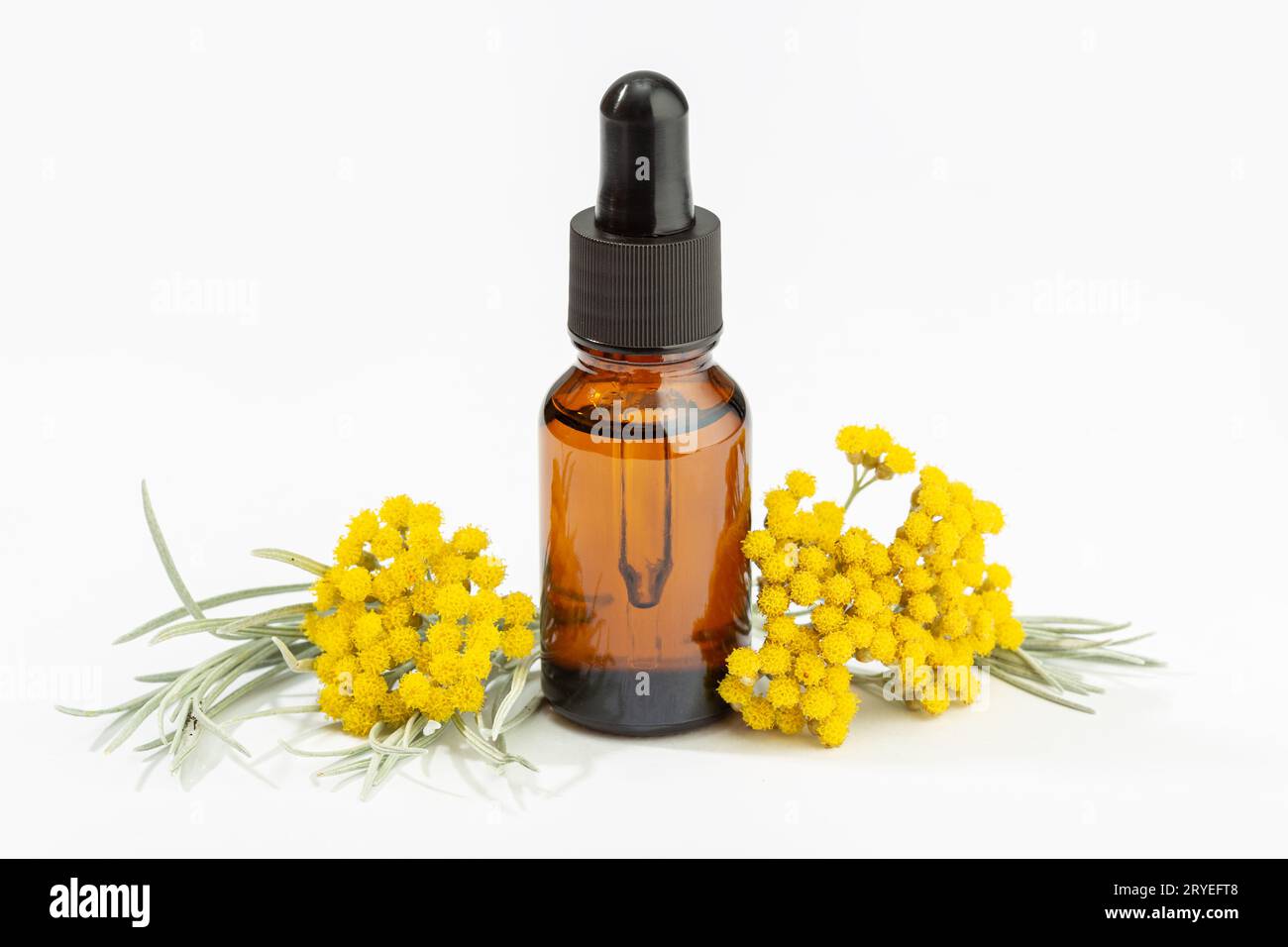 Ätherisches Helichrysum-Öl auf bernsteinfarbener Flasche isoliert auf weißem Hintergrund Stockfoto