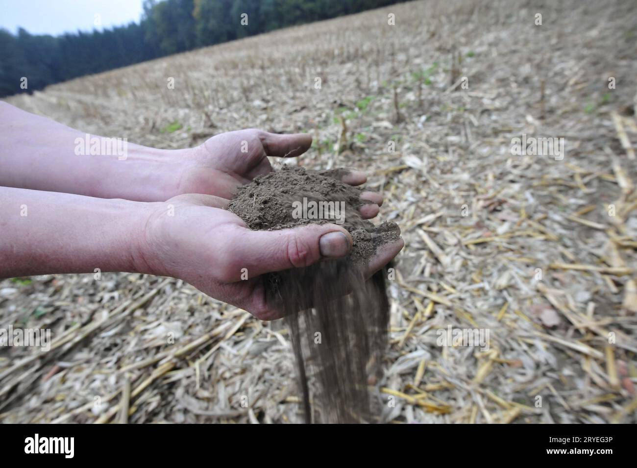 Trockener Boden, der durch die Hände der Bauern läuft Stockfoto