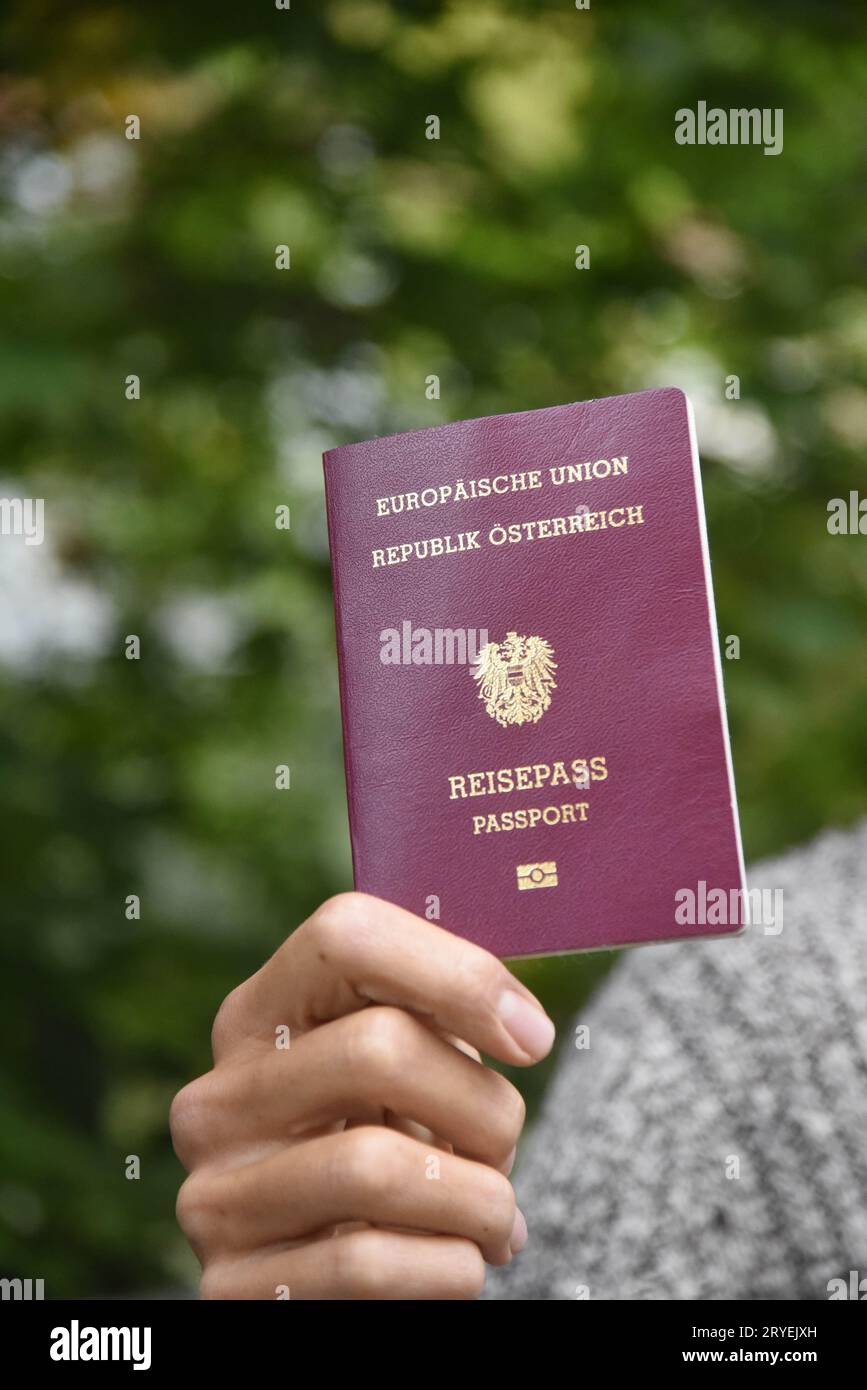 Pass zur Identifizierung, europäische union, österreich Stockfoto