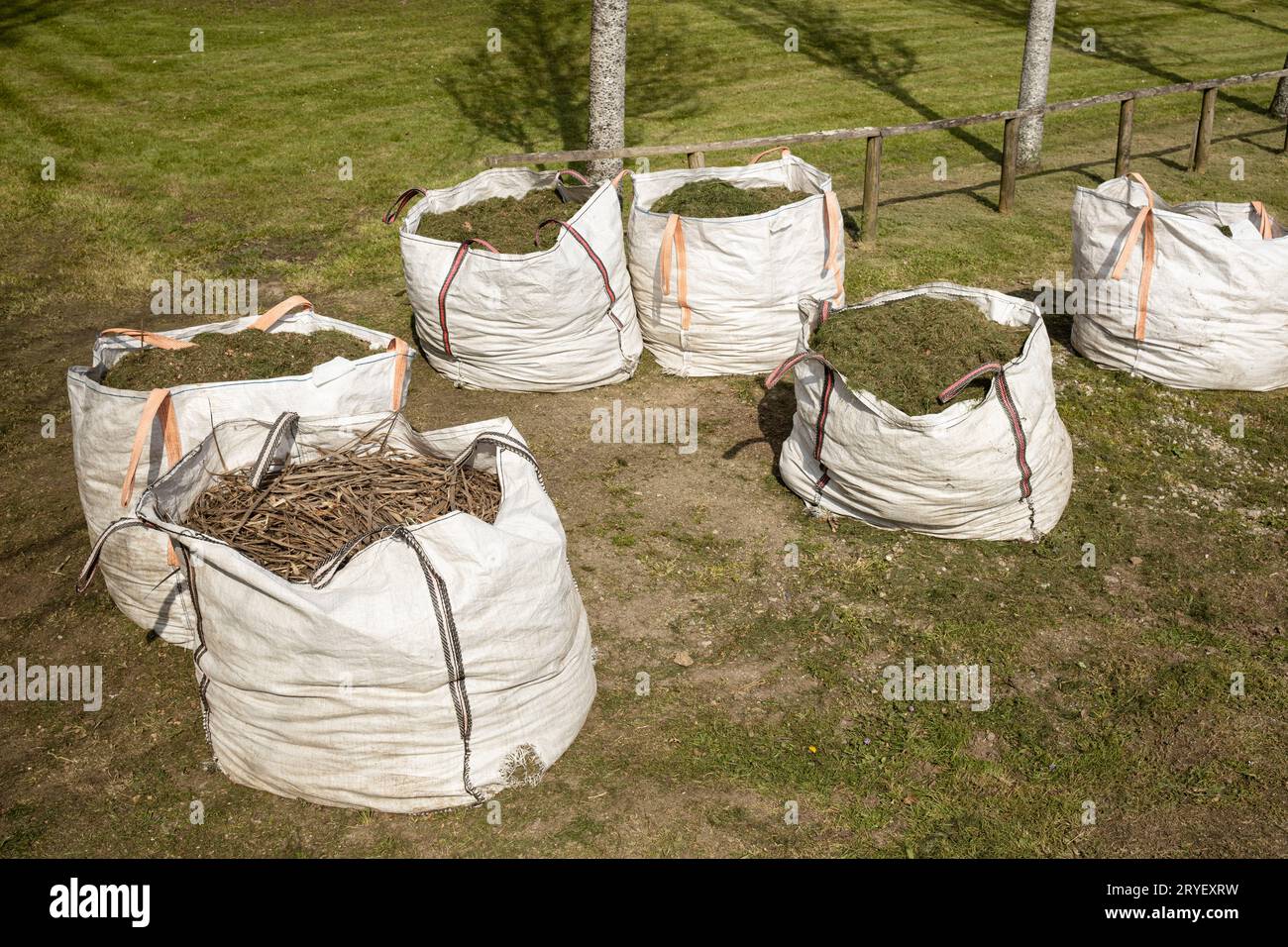 Gruppe von Säcken voll von geschnittenem Gras. Gartenarbeit in öffentlichen Räumen Stockfoto