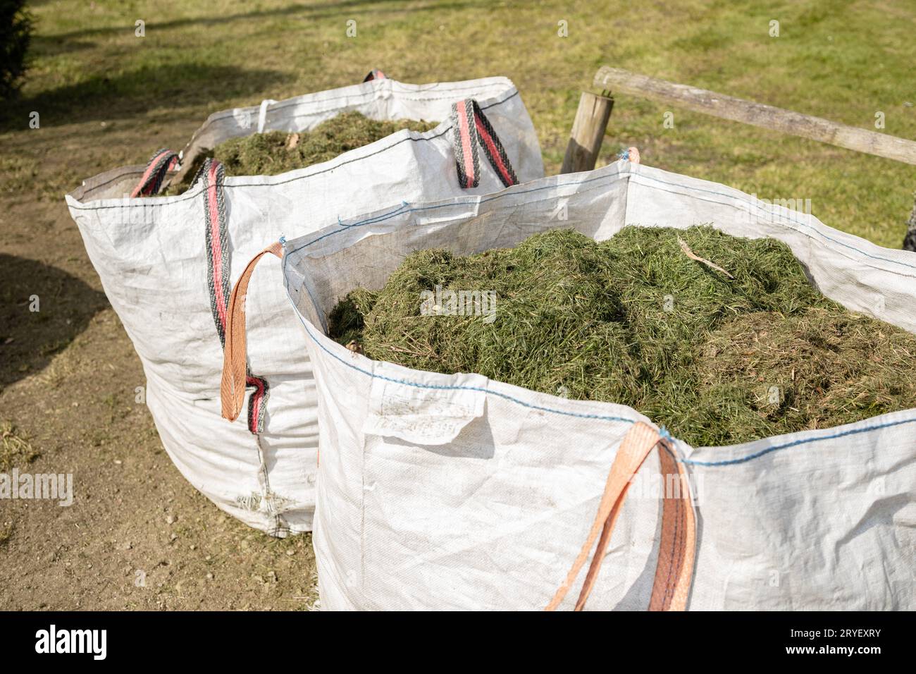 Säcke voller geschnittenem Gras auf dem öffentlichen Park. Gartenpflege Stockfoto