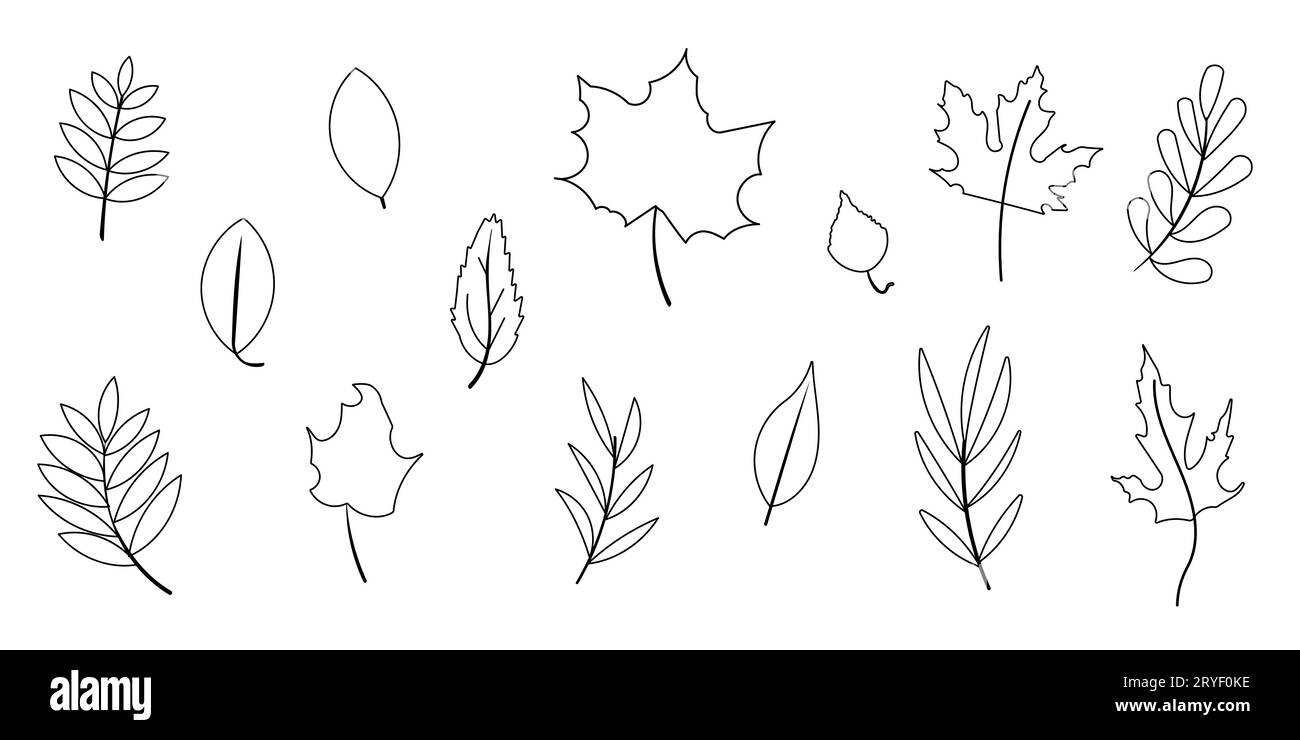 Die Blätter säumen den Herbst und setzen die Elemente des Waldes zum Doodle Stock Vektor