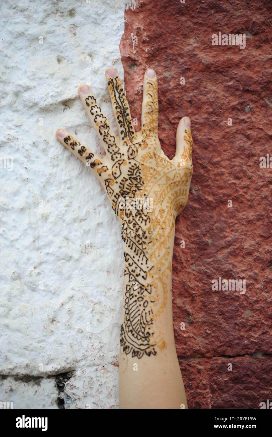 Hand, Teil des menschlichen Körpers Stockfoto