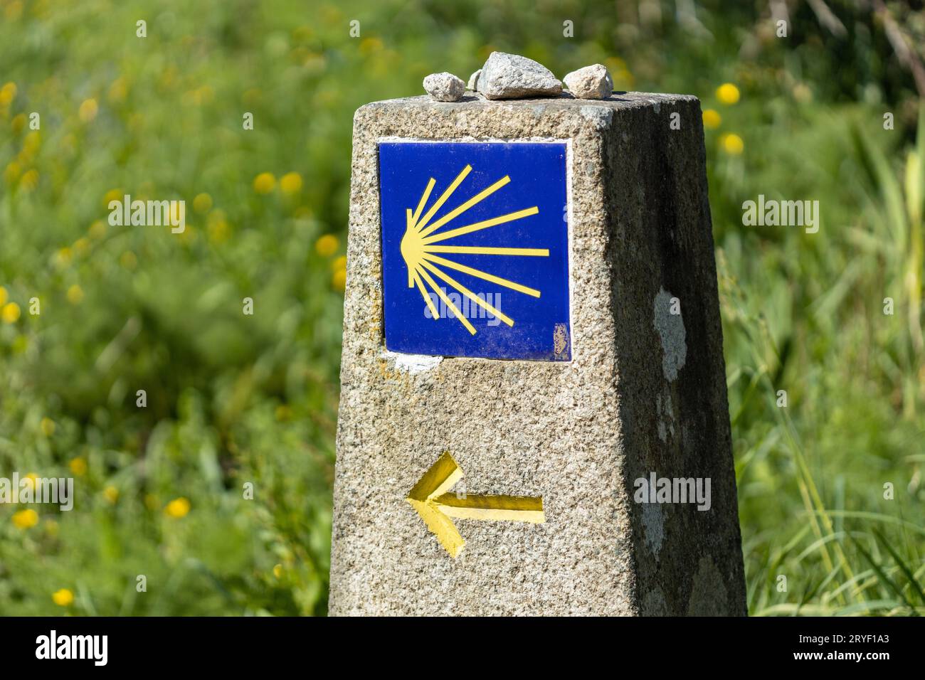 Schild Camino de Santiago auf Steinmonolith mit grünem Gras Hintergrund Stockfoto