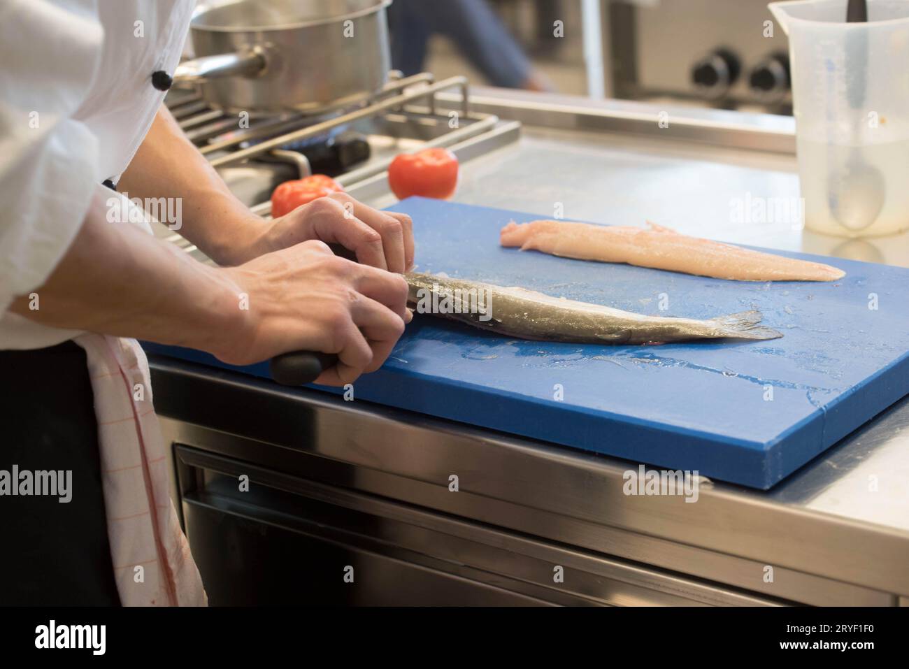 Frisch zubereitetes Fischfilet in der Küche Stockfoto