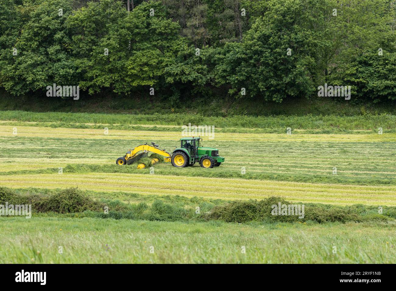 Schöne ländliche Szene, in der ein Traktor und eine Maschine auf einem landwirtschaftlichen Feld Gras ernten Stockfoto