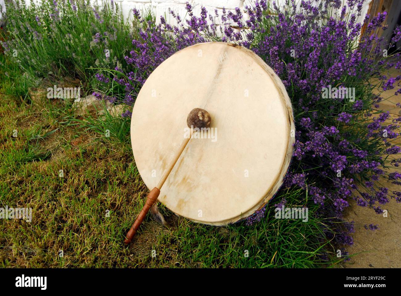 Trommeln im Schamanismus auf einer Wiese Stockfoto