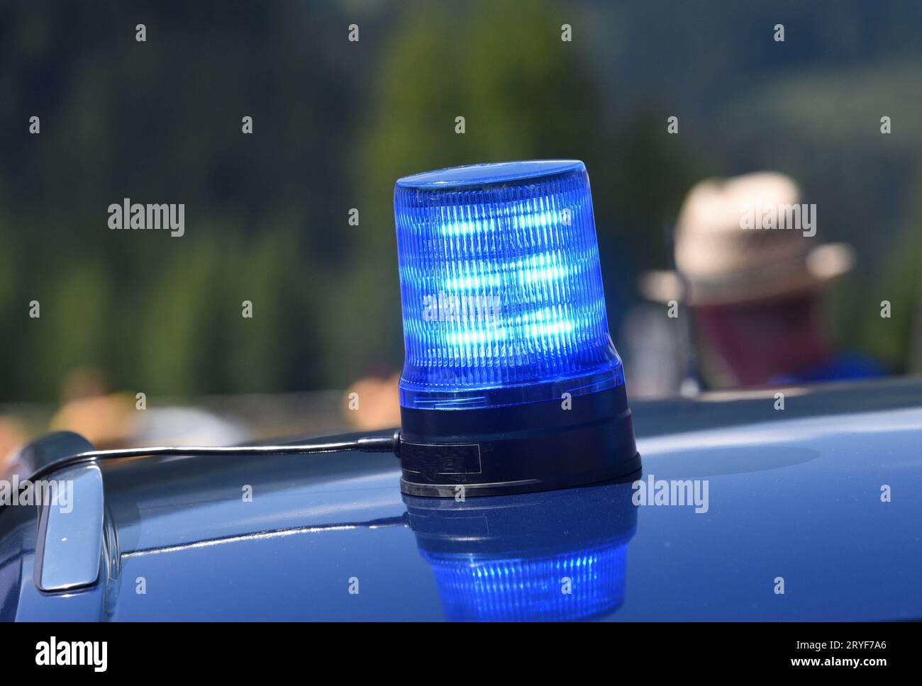 Blaues Lichtsignal an einem Polizeiauto Stockfoto