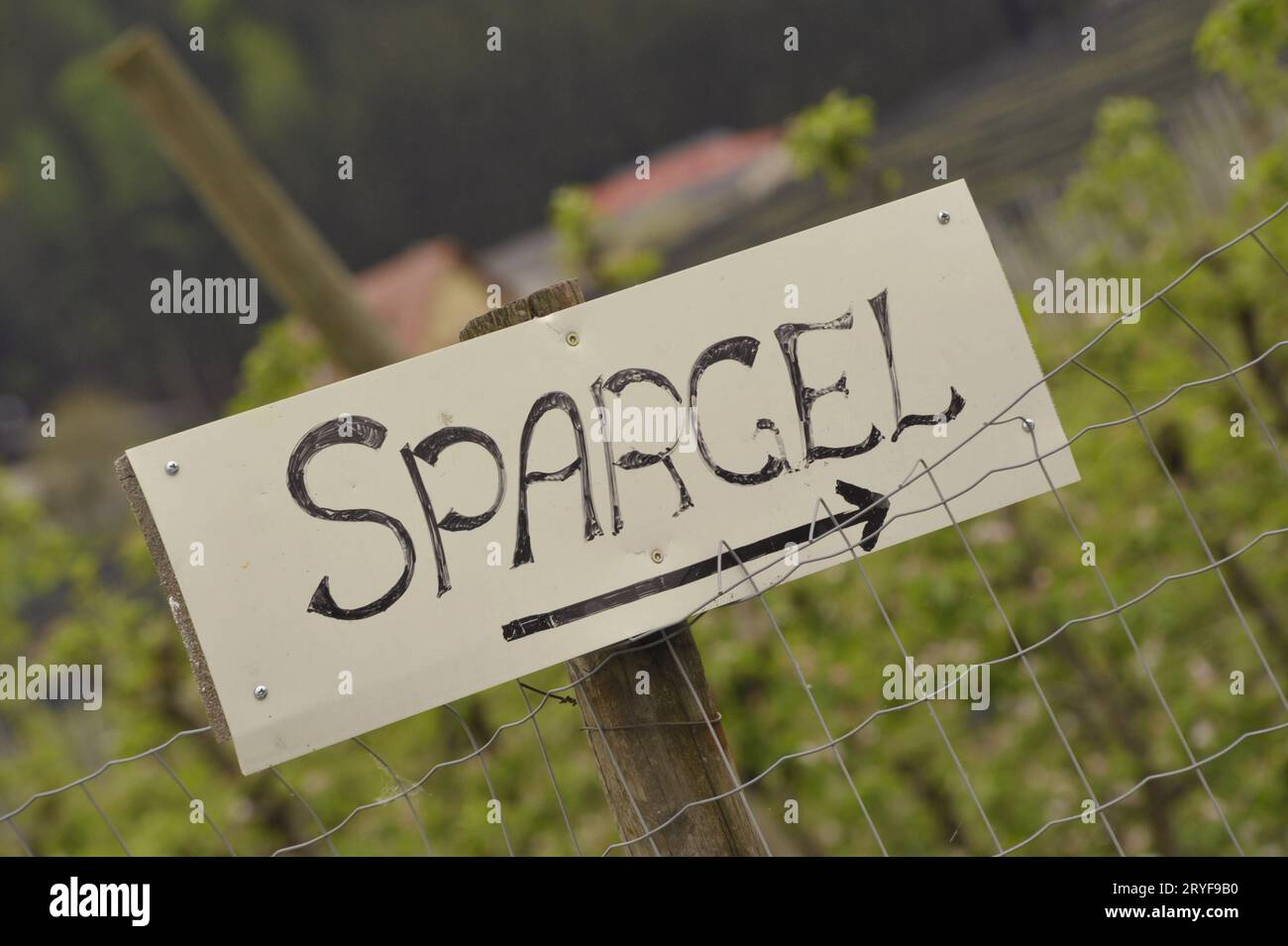Spargel-Zeichen auf deutsch Stockfoto