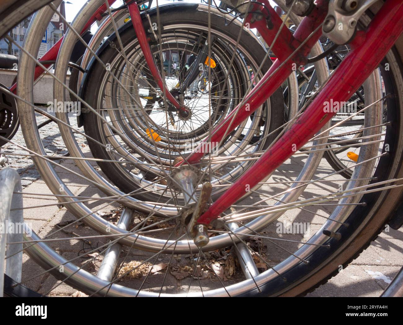 Fahren und Transport auf einem Fahrrad Stockfoto