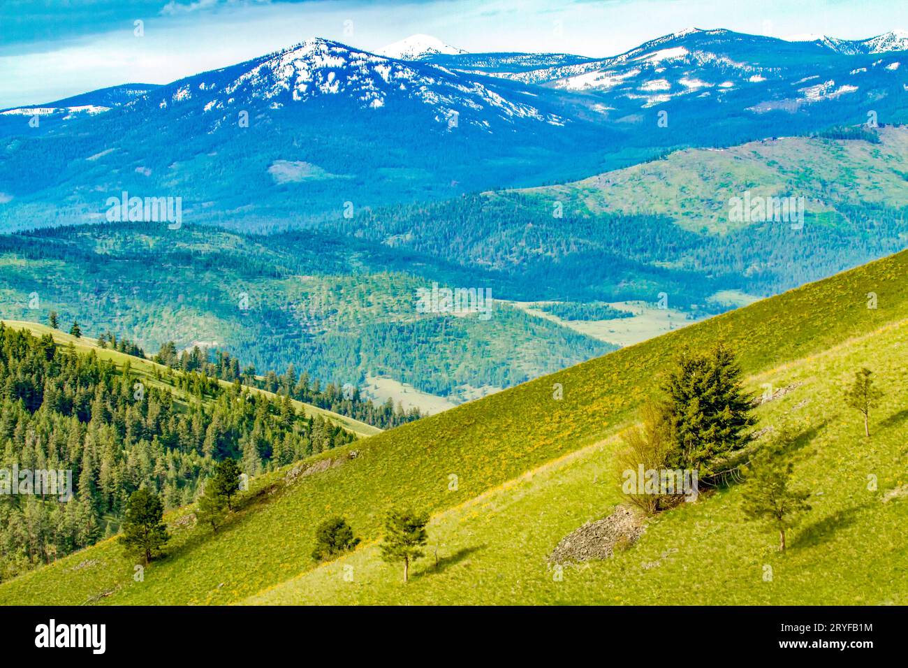 National Bison Range, Montana. Palouse Prairie Grasland auf steilen Hügeln, mit Mission Mountains im Hintergrund. Stockfoto