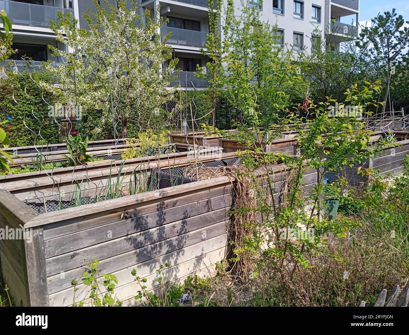 Städtische Gartenarbeit in der Stadt Stockfoto
